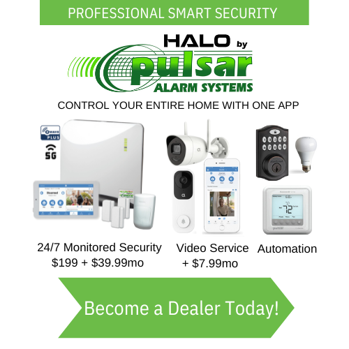 PROFESSIONAL SMART SECURITY
